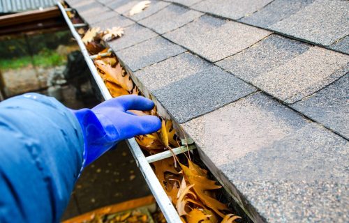 Gutter Cleaning Services